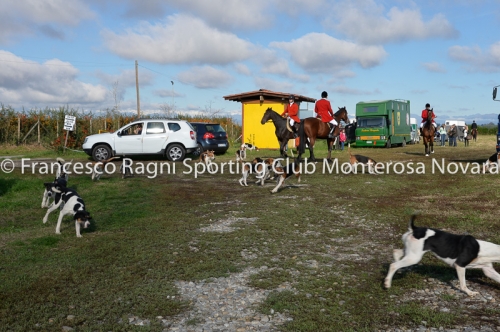 Cacciavolpe0037