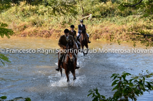 Cacciavolpe0070
