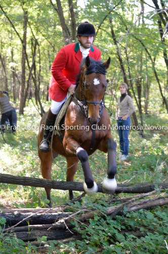 Cacciavolpe0148