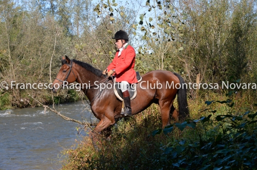 Cacciavolpe0153