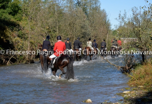Cacciavolpe0178-2