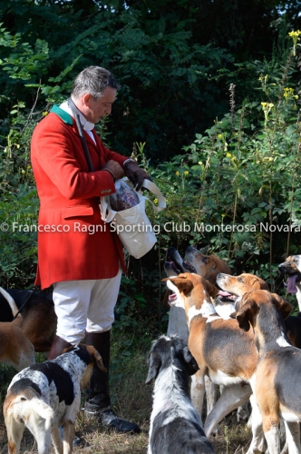 Cacciavolpe0238