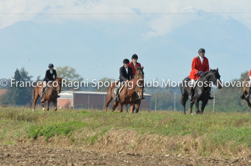 Cacciavolpe0286