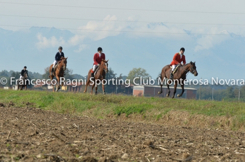 Cacciavolpe0290