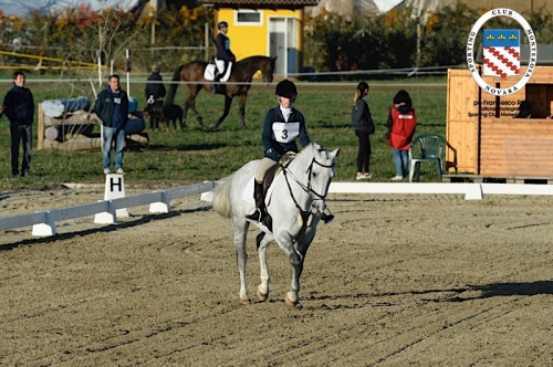 Concorso 8 ottobre 20170010