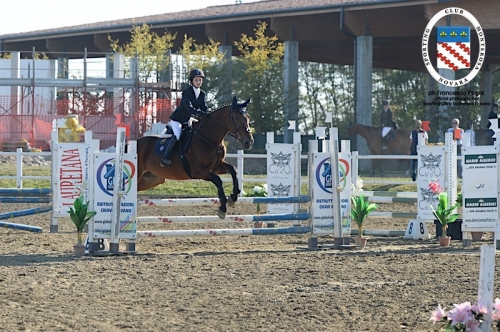 Concorso 8 ottobre 20170246