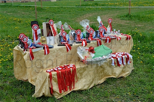 Concorso3-4-2016Monterosa0423