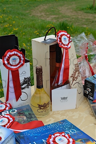 Concorso3-4-2016Monterosa0426
