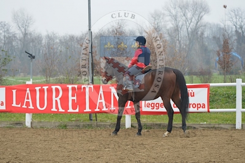 Giornata cultura Equestre0014