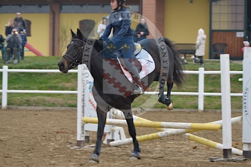 Giornata cultura Equestre0035